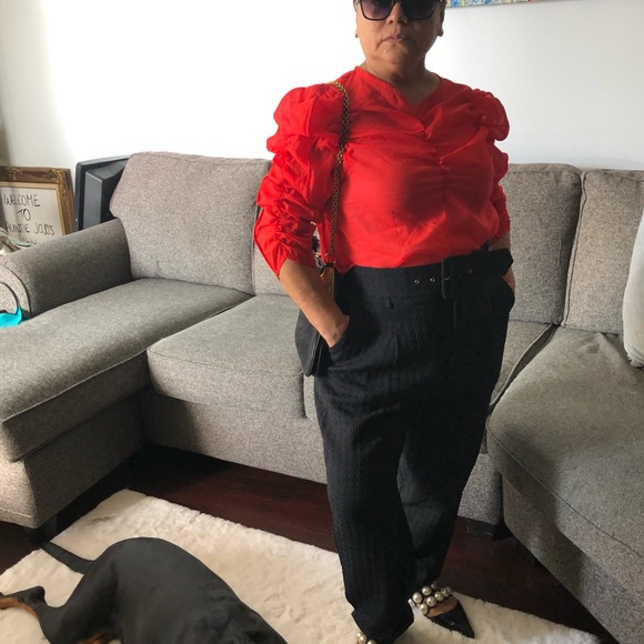 Gorgeous ruched organza shirt - Picture 2 of 6